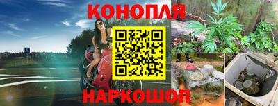 jwh Будённовск