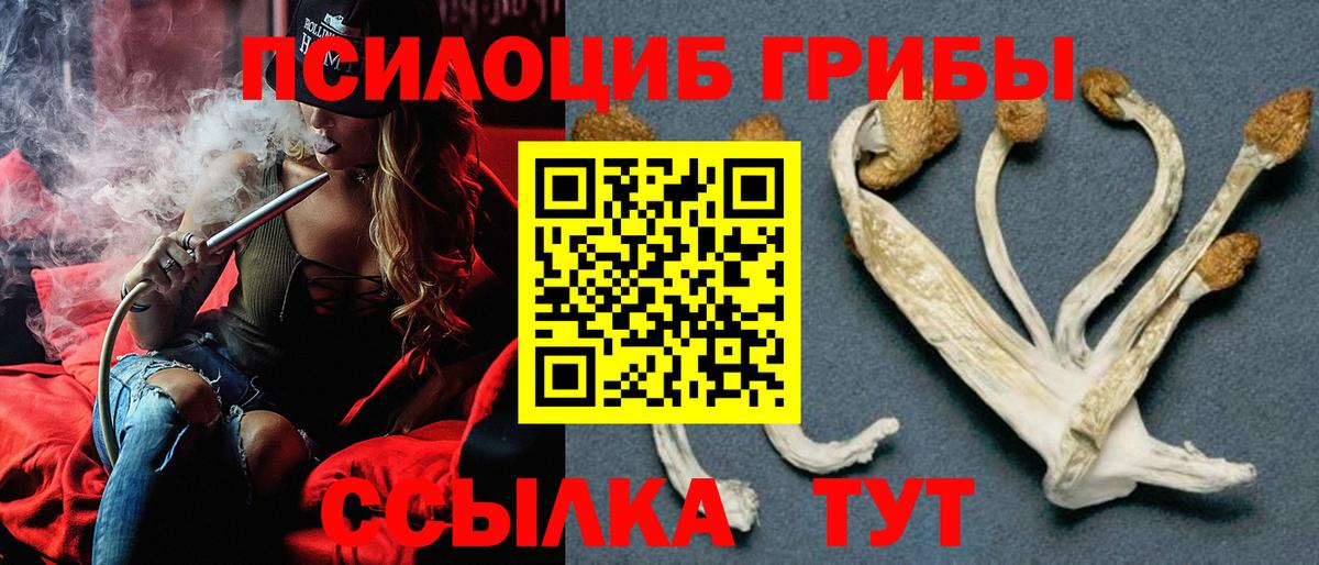 Псилоцибиновые грибы Magic Shrooms Междуреченск